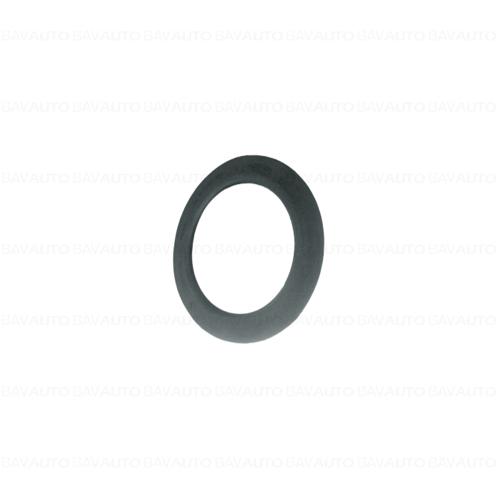 31336856171 - Spring pad