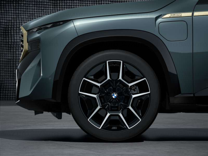 36115A66197 - Roată completă de iarnă - M Double Spoke 922M (flow forming, milled) cu anvelopa Pirelli Scorpion Winter - 315/35R22 111V XL - BMW XM G09 - punte spate