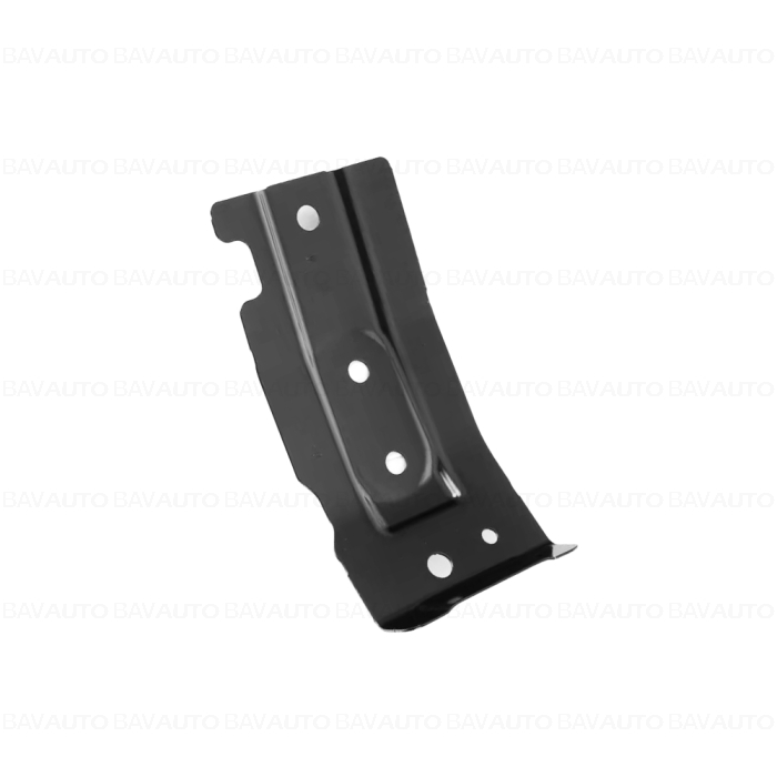 41007356123 - Striker plat