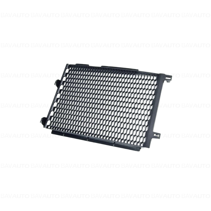 Grila protectie radiator, dreapta - BMW Motorrad K50 (R 1200 GS, R 1250 GS), K51 (R 1250 GS Adventure) - tip motor A74