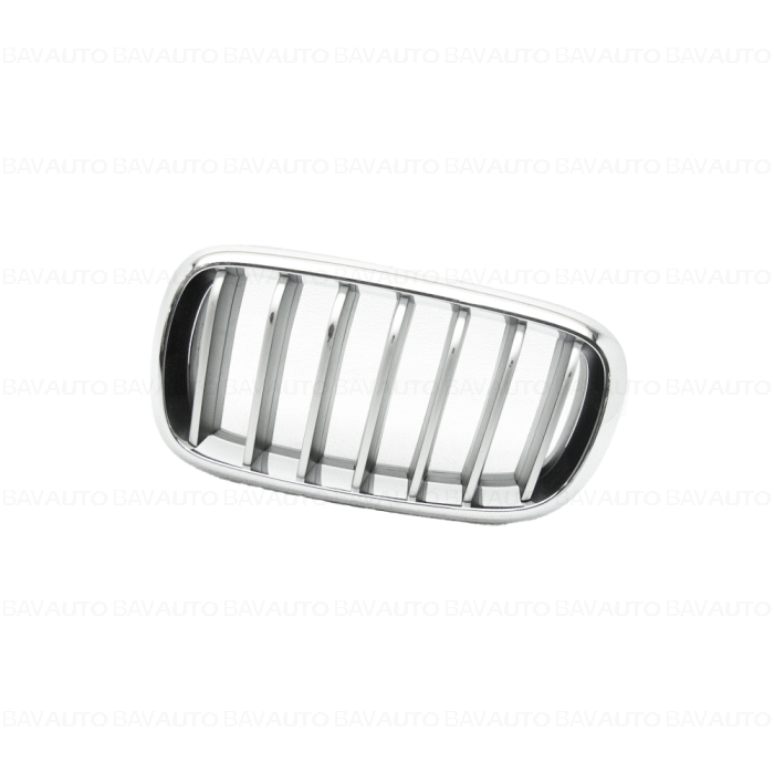 51137373697 - Trim grill,