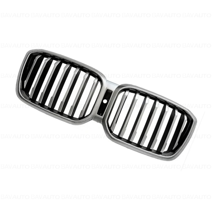 Grila fata radiator, Basis, ICam - BMW X3 G01 G08, X4 G02
