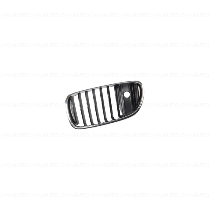 51138054497 - Grille, fron