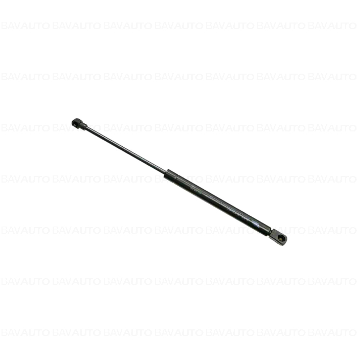 51237900795 - Gas spring