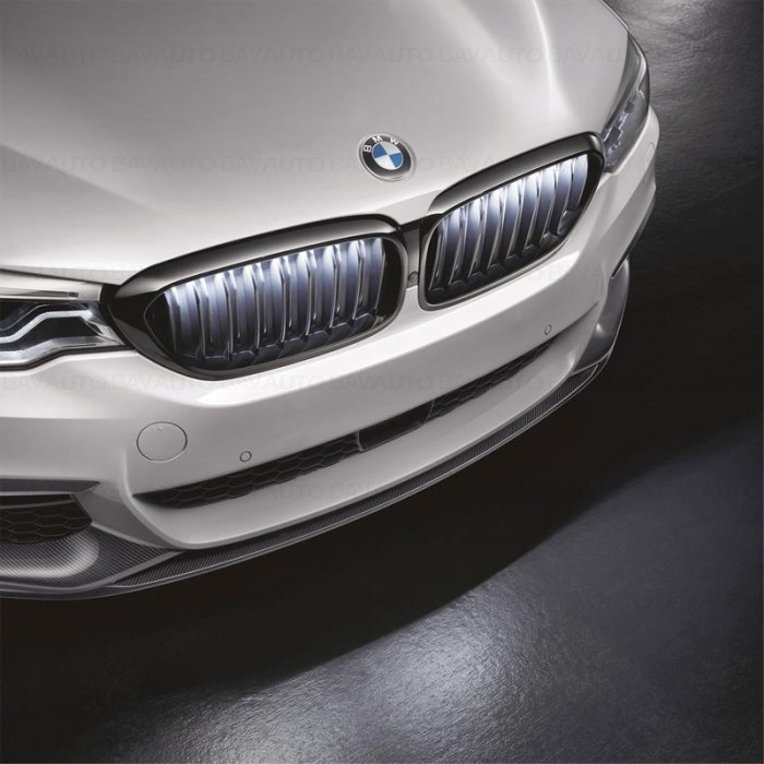 63175A0E283 - Grila fata ornamentala Iconic Glow BMW M Performance 