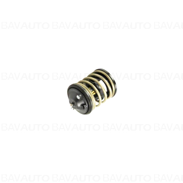 11518512234 - Thermostat