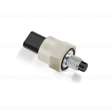 12618613333 - Engine oil p