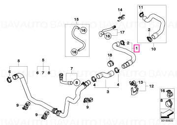 17122755551 - Coolant hose  - Original BMW