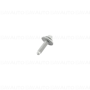 31106862545 - ASA screw, s