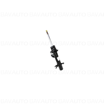 31309813654 - FRONT RIGHT