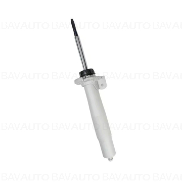 31312283977 - Spring strut