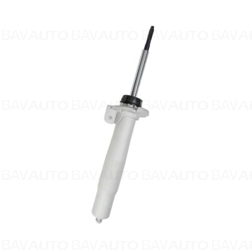 31312283978 - Spring strut