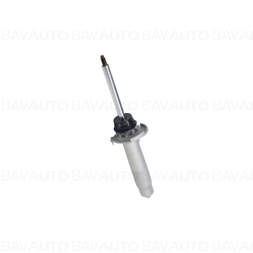 31312284787 - Spring strut