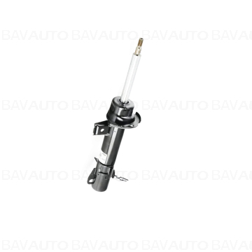 31316781904 - Spring strut