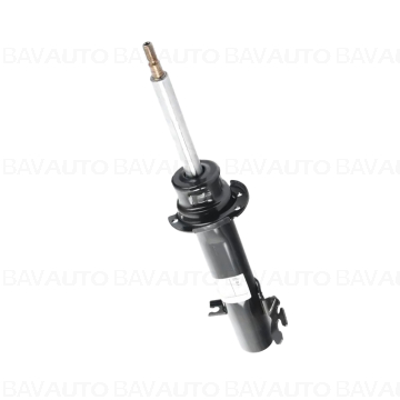 31316789551 - Spring strut