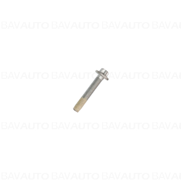 33526858060 - Torx screw w