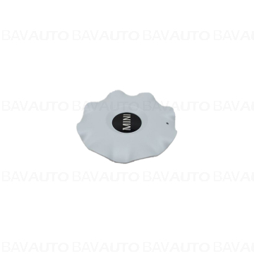 36109804381 - Hub cap