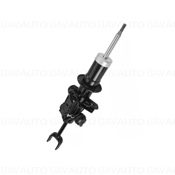 37116796855 - Spring strut