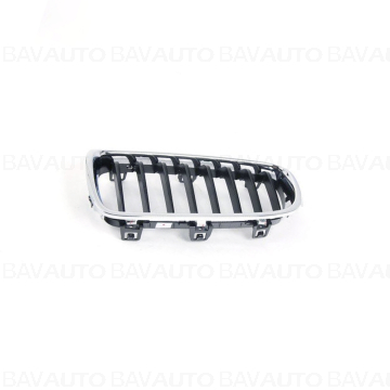 51137260497 - Grille, fron