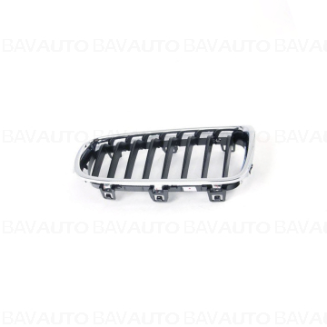 51137260498 - Grille, fron