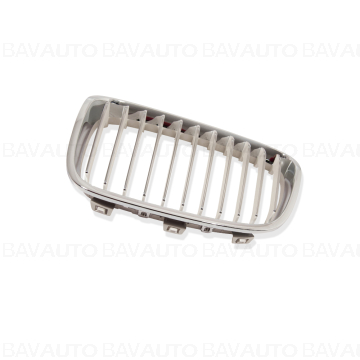 51137262119 - Grille, fron