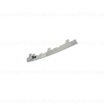 51137295355 - MOLDING LEFT