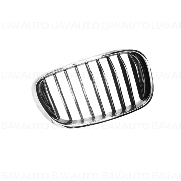 51137369904 - Grille, fron