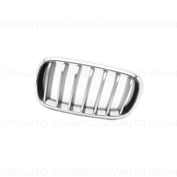 51137373697 - Trim grill,
