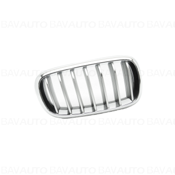 51137373698 - Trim grill,
