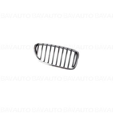 51138054498 - Grille, fron