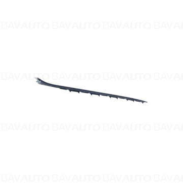 51317258188 - Drip molding