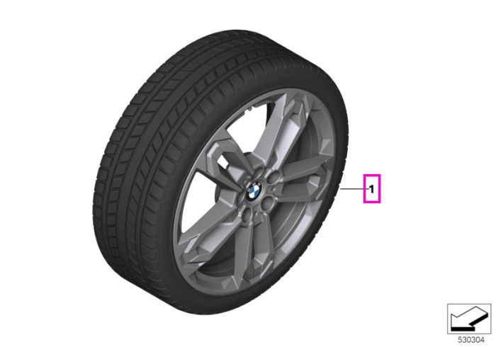 Roată completă de iarnă - Double Spoke 1041 cu anvelopa Hankook Winter i* (BMW) evo3 X - HL 195/55R19 97H XL - Mini Aceman U10/U11