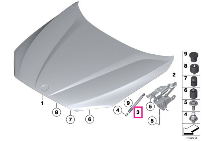 Telescop/Amortizor capota motor - BMW X1 E84