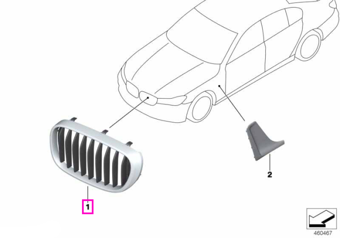  Grila ornamentala radiator, dreapta, Basis - BMW Seria 7 G11 G12