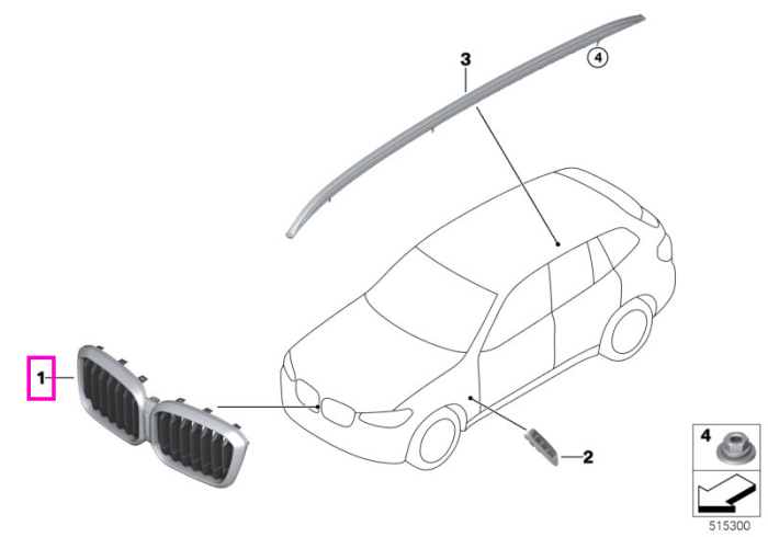 Grila fata radiator, Basis, ICam - BMW X3 G01 G08, X4 G02